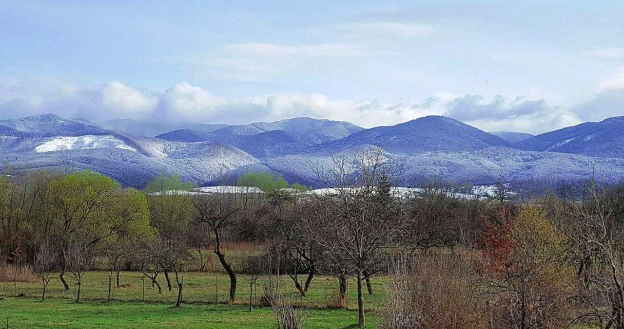 Pensiunea Casa Moga Bucium  Екстериор снимка